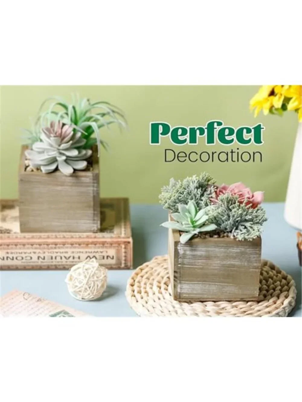 Artificial Cactus Succulent Plants Wood Planter Faux Desk Home Decor Set of 2